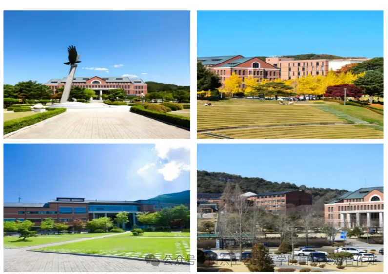 1735177196762400.png e28e37e7d5b294240d3d44ad8f5c763.png